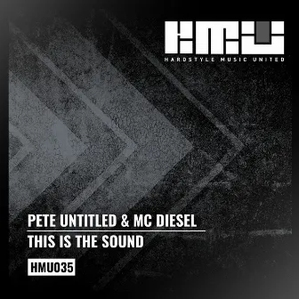 This Is the Sound by MC Diesel