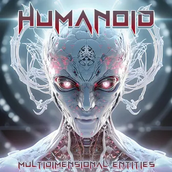 Multidimensional Entities by Humanoid