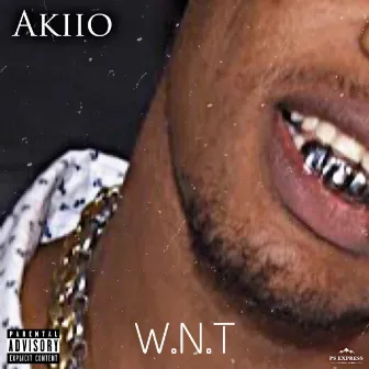 W.N.T by Akiio