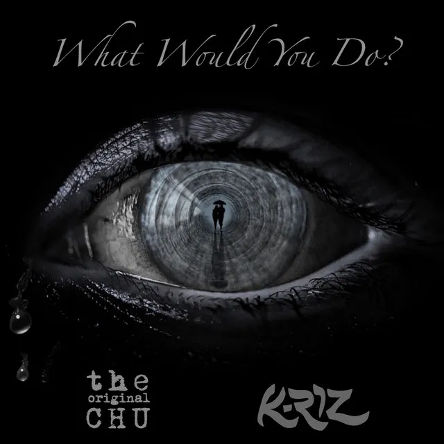 What Would You Do (feat. K-Riz)