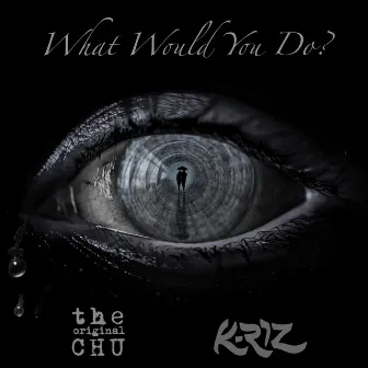 What Would You Do (feat. K-Riz) by The Original Chu