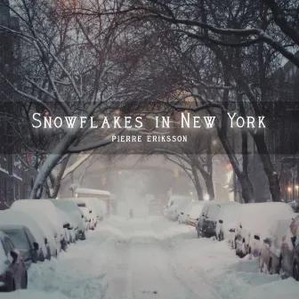 Snowflakes in New York by Pierre Eriksson