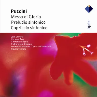 Puccini : Messa di Gloria, Preludio sinfonico & Capriccio sinfonico (Apex) by Orchestre National de l'Opéra de Monte-Carlo