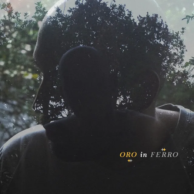 Oro in ferro