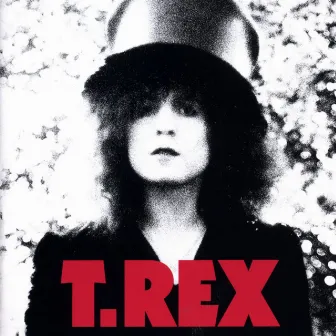 The Slider by T. Rex