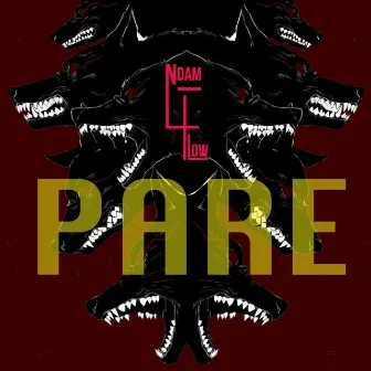 Paré by ndam4flow