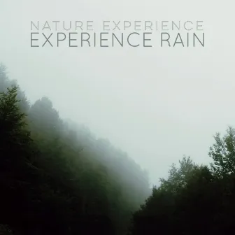 Experience Rain by Nature Experience