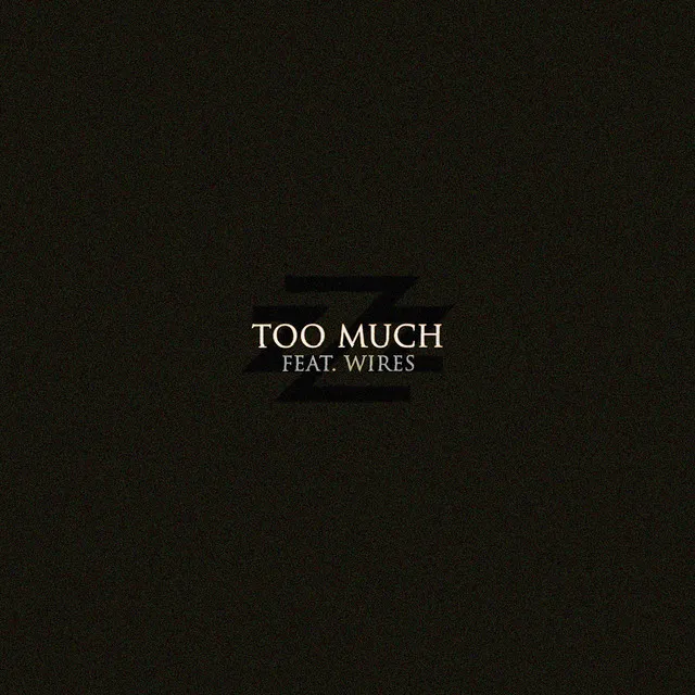 Too Much