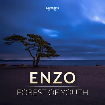 FOREST OF YOUTH by Enzo