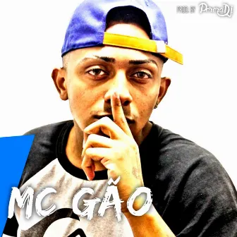 Mc Gão by Mc Gão