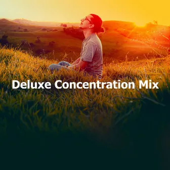 Deluxe Concentration Mix by Study Academy