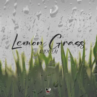 Lemon Grass Riddim by Mashworks Productions