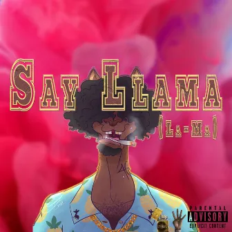 Say Llama by 40 Llama