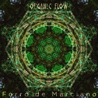 Forró de Marciano by Organic Flow