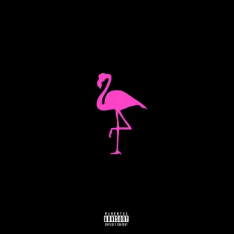 Flamingo by Kollektiv Sandgasse