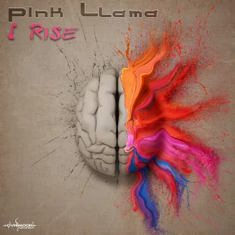 I Rise by Pink Llama