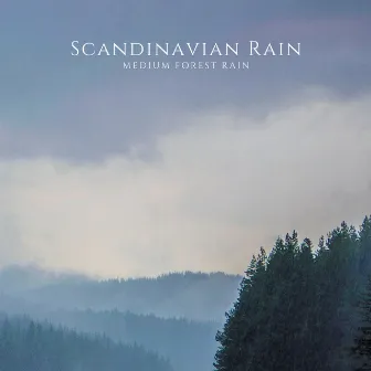 Medium Forest Rain by Scandinavian Rain