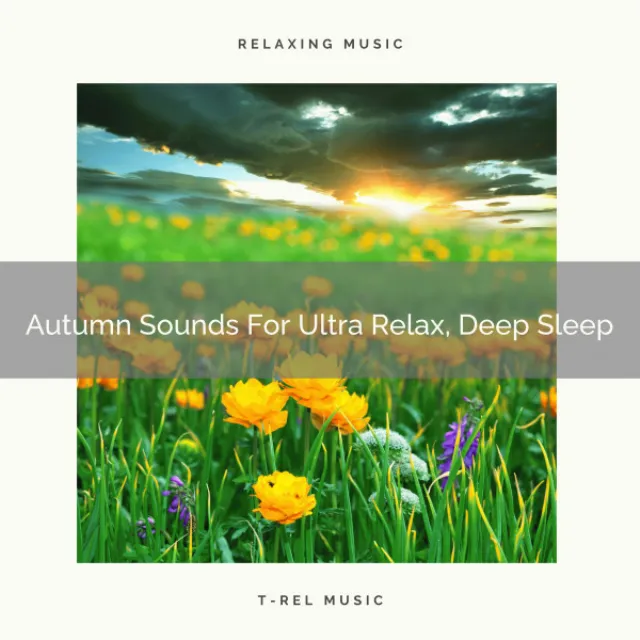 Brilliant Vibes For Maximum Relaxation, Body Healing and Sweet Dreams