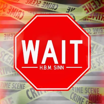 Wait by H.B.M Sinn