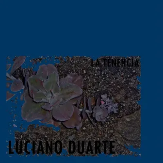 La Tenencia by Luciano Duarte