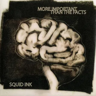 More Important That the Facts by Squid Ink