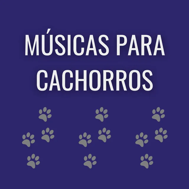 Musica para Acalmar Cachorro