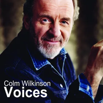 Child of Destiny (From The Musical Voices) - Single by Colm Wilkinson