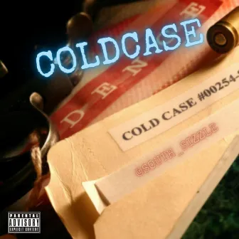 Cold Case (Savage 2 Lavish) by South Sizzle