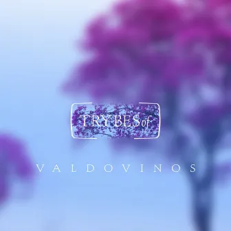 Asterisms EP by Valdovinos