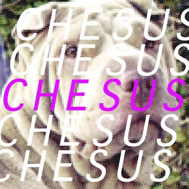 Chesus