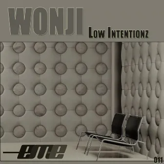 Low Intentionz by Wonji