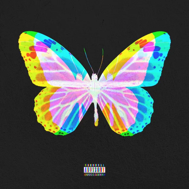 Butterfly Effect