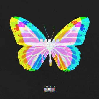 Butterfly Effect by PAKO BEATZ