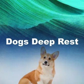 Dogs Deep Rest by Unknown Artist