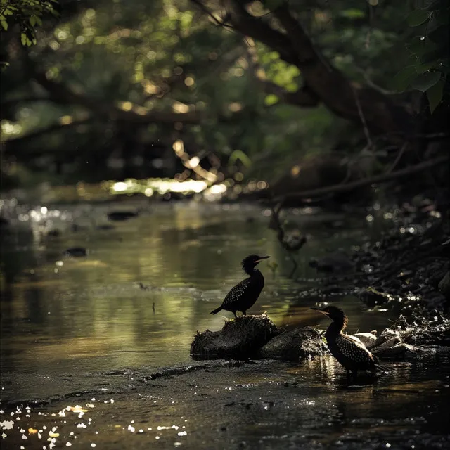 Journey Through Nature’s Soundscapes