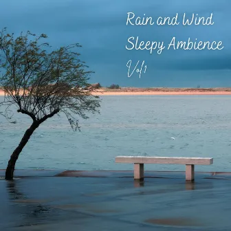 Rain and Wind Sleepy Ambience Vol. 1 by Sleep Star