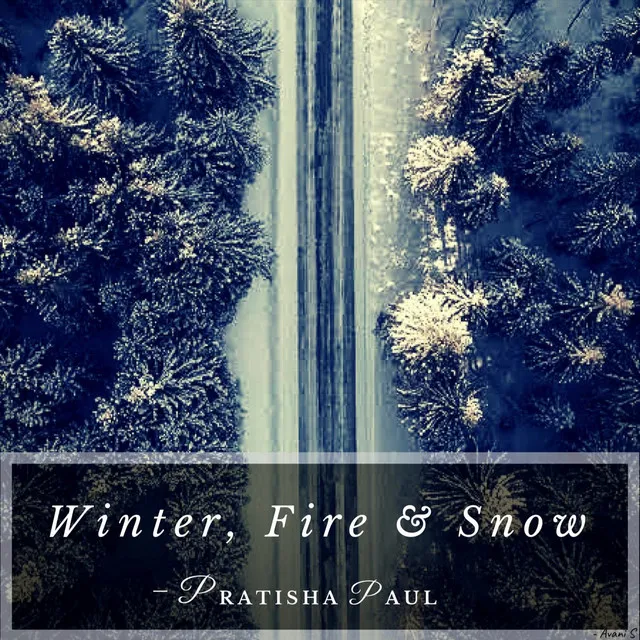 Winter Fire & Snow