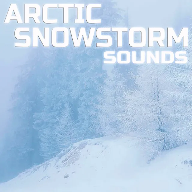 Arctic Snowstorm Sounds