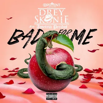 Bad for Me by Drey Skonie