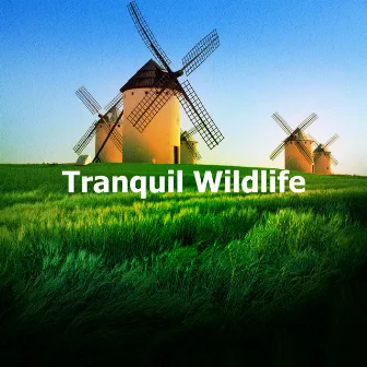 Tranquil Wildlife by Wilderness Recorders