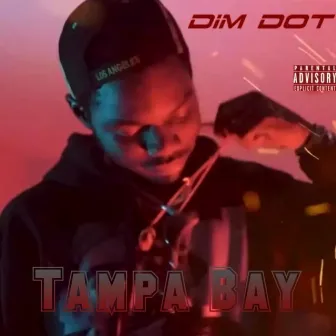 Tampa Bay by Dim DOT