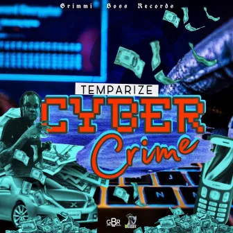 Cyber Crime by Temparize