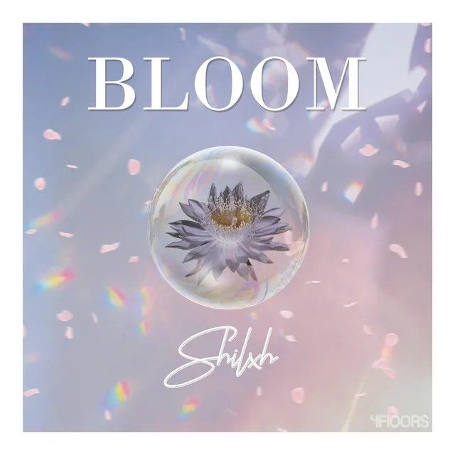 Bloom