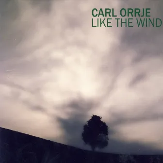 Like the Wind by Carl Orrje