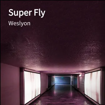 Super Fly by Weslyon