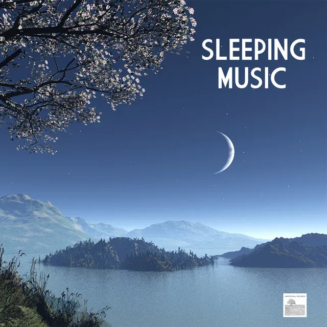 Sleeping Music 5 - Ambient Music and Sotthing Music to Cure Insomnia Symptoms and Baby Sleep