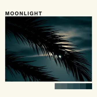 Moonlight by Brdrlss