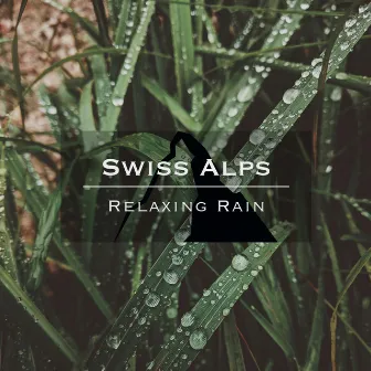 Swiss Alps - Relaxing Rain by Noise Academy