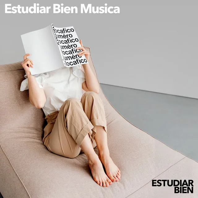 Estudiar Bien Musica