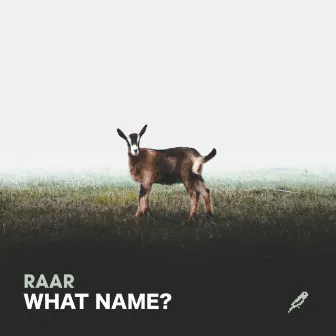 What Name? by Raar